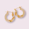 Ava Hoops