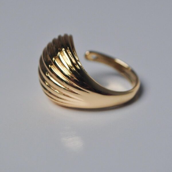 Adjustable Ring - Image 2